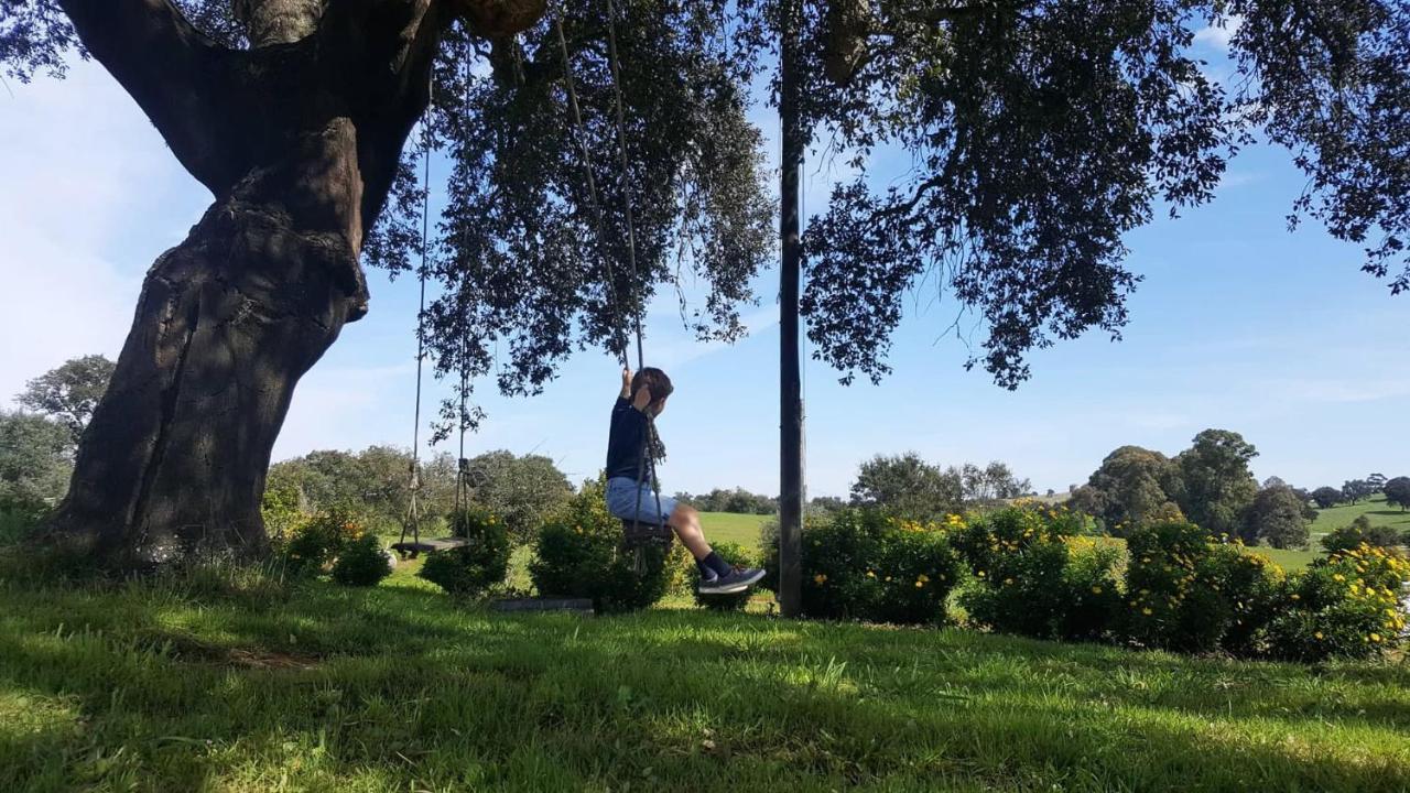 Herdade Reguenguinho Cercal do Alentejo Kültér fotó