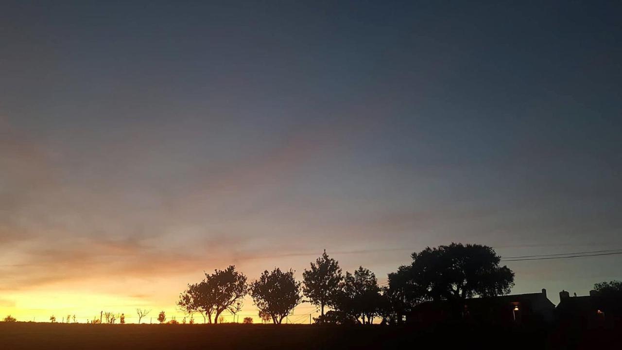 Herdade Reguenguinho Cercal do Alentejo Kültér fotó